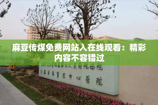 麻豆传煤免费网站入在线观看：精彩内容不容错过