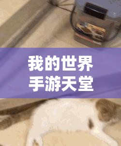 我的世界手游天堂门建造指南，资源管理技巧与避免浪费以最大化建造价值