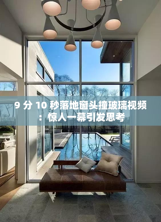 9 分 10 秒落地窗头撞玻璃视频：惊人一幕引发思考