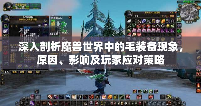 深入剖析魔兽世界中的毛装备现象，原因、影响及玩家应对策略
