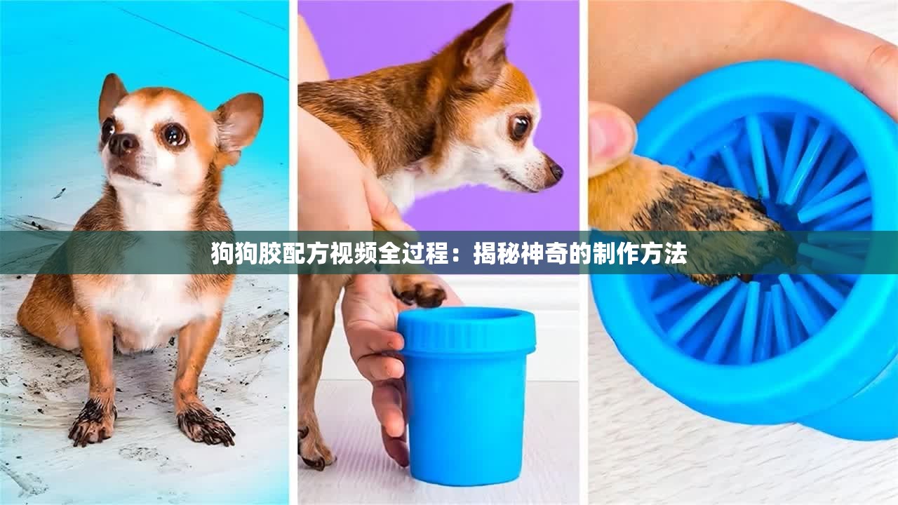 狗狗胶配方视频全过程：揭秘神奇的制作方法