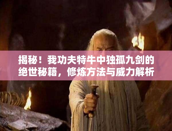 揭秘！我功夫特牛中独孤九剑的绝世秘籍，修炼方法与威力解析