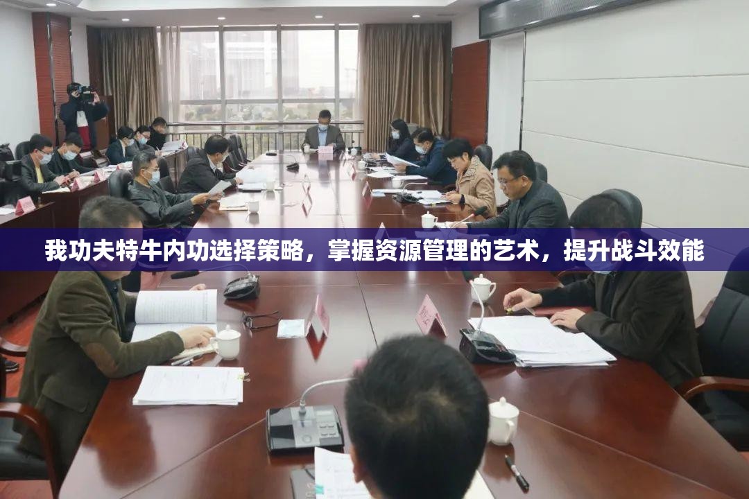 我功夫特牛内功选择策略，掌握资源管理的艺术，提升战斗效能