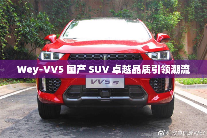 Wey-VV5 国产 SUV 卓越品质引领潮流