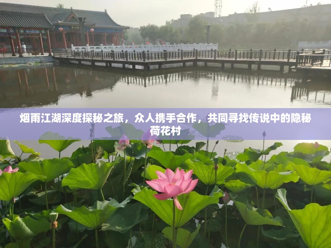 烟雨江湖深度探秘之旅，众人携手合作，共同寻找传说中的隐秘荷花村