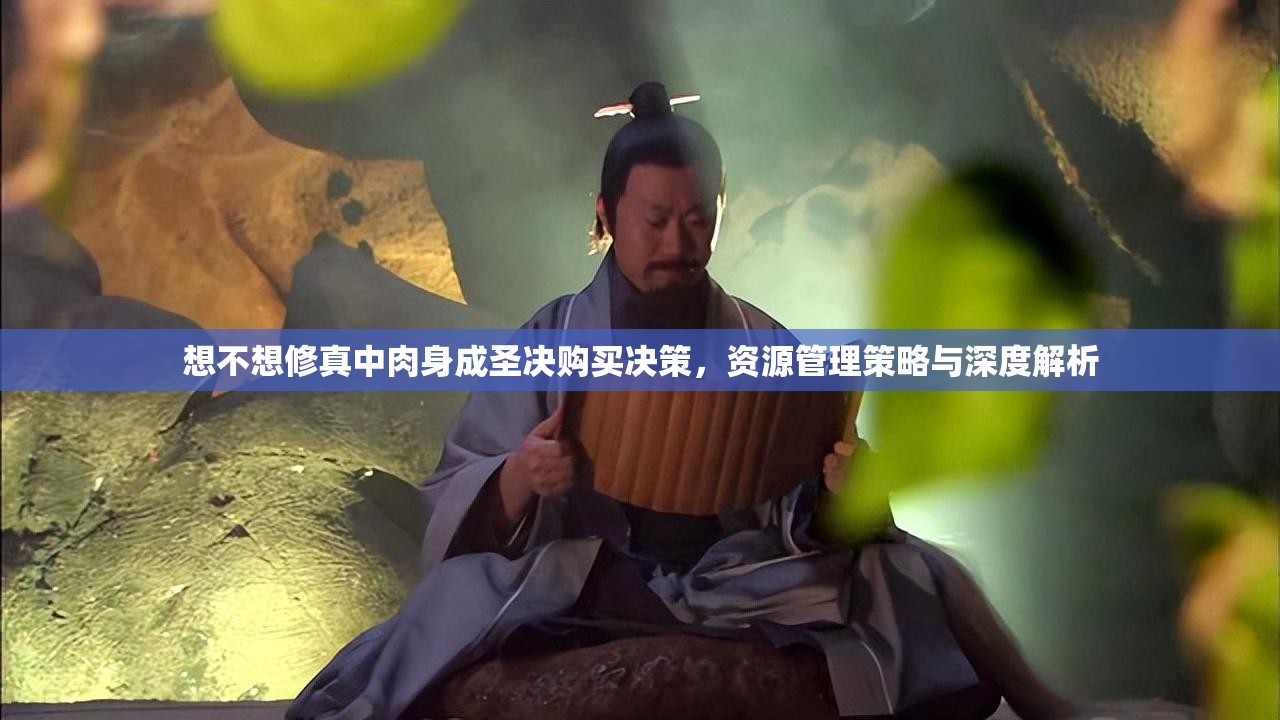想不想修真中肉身成圣决购买决策，资源管理策略与深度解析