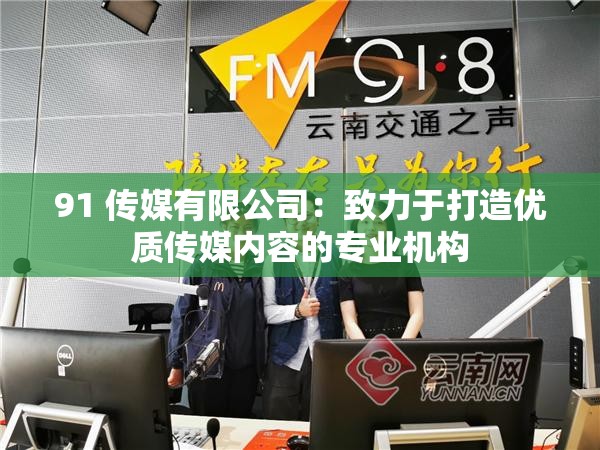 91 传媒有限公司：致力于打造优质传媒内容的专业机构