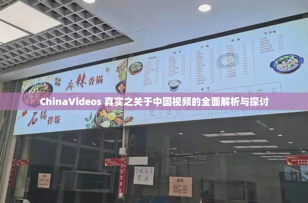 ChinaVideos 真实之关于中国视频的全面解析与探讨