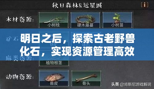 明日之后，探索古老野兽化石，实现资源管理高效利用与价值最大化策略