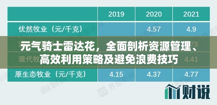 元气骑士雷达花，全面剖析资源管理、高效利用策略及避免浪费技巧