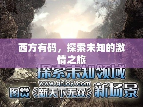 西方有码，探索未知的激情之旅