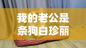 我的老公是条狗白珍丽山本一郎：一段匪夷所思的情感纠葛