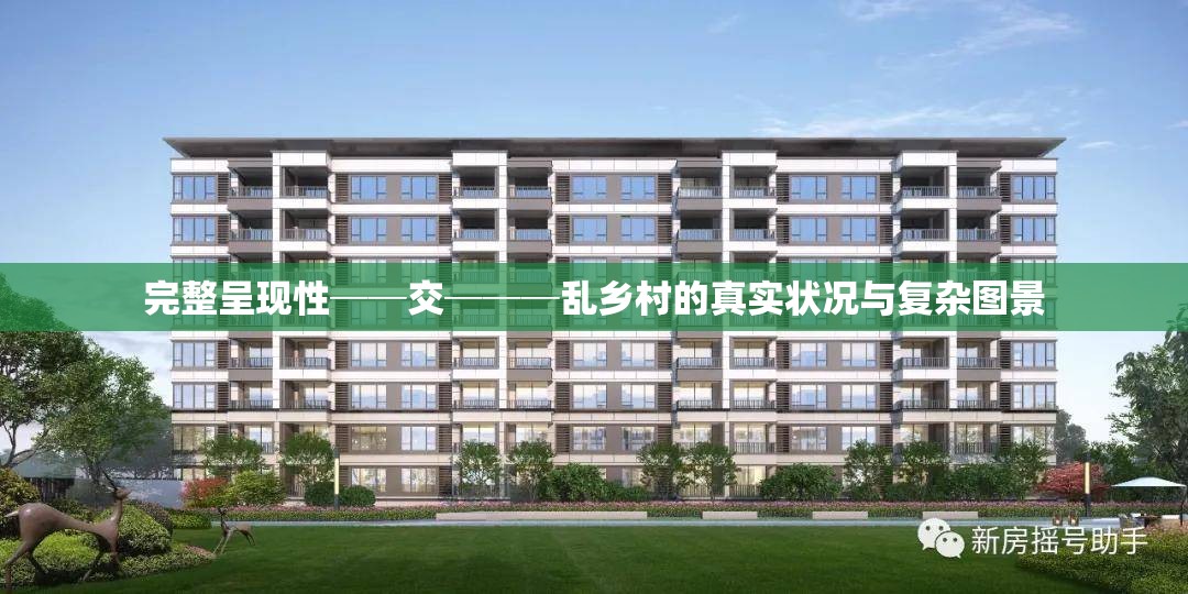 完整呈现性──交───乱乡村的真实状况与复杂图景