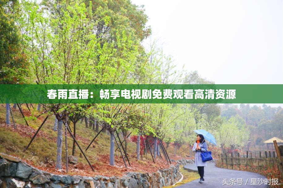 春雨直播：畅享电视剧免费观看高清资源