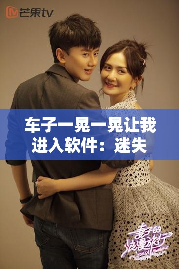 车子一晃一晃让我进入软件：迷失的旅途