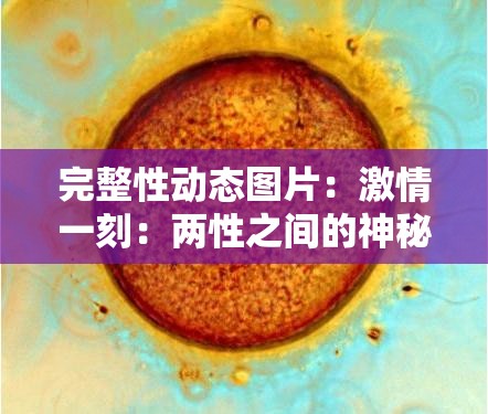 完整性动态图片：激情一刻：两性之间的神秘世界