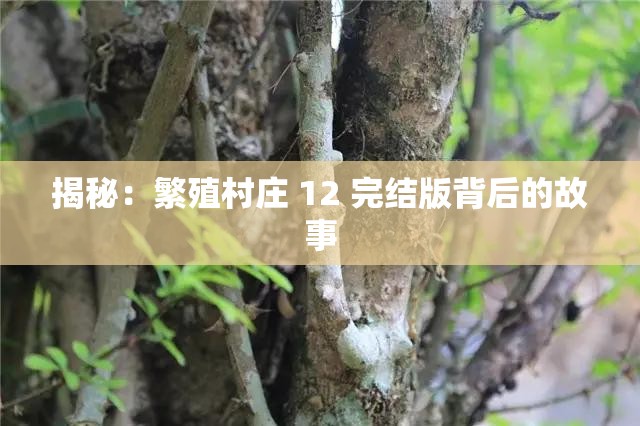 揭秘：繁殖村庄 12 完结版背后的故事