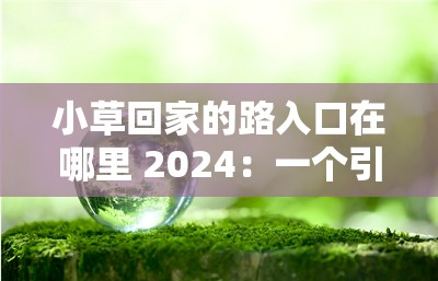 小草回家的路入口在哪里 2024：一个引人深思的话题