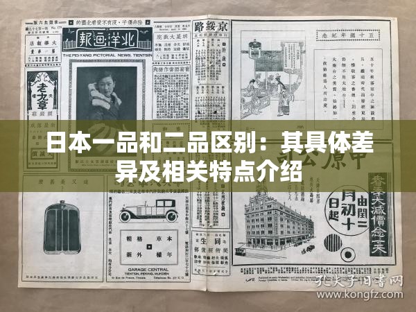日本一品和二品区别：其具体差异及相关特点介绍