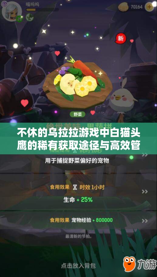 不休的乌拉拉游戏中白猫头鹰的稀有获取途径与高效管理策略