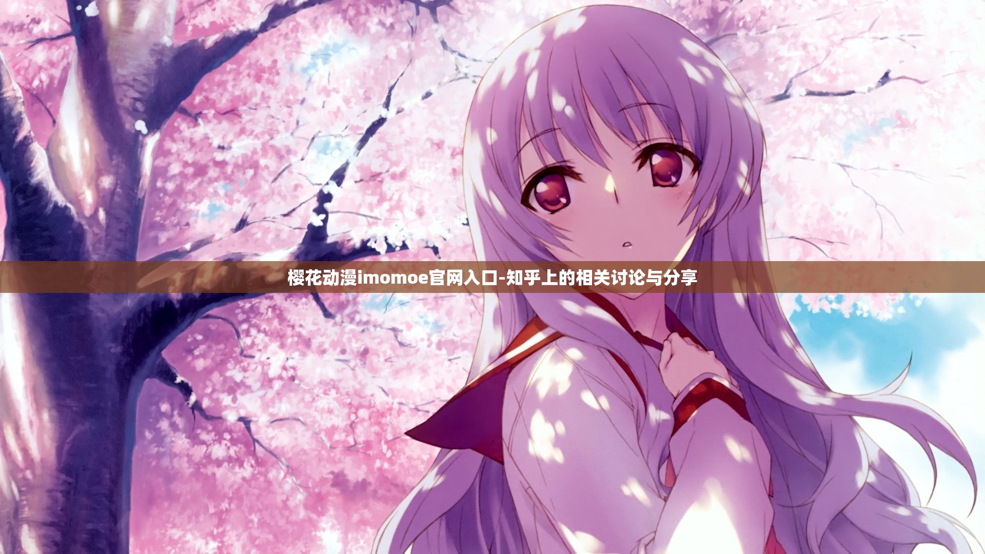 樱花动漫imomoe官网入口-知乎上的相关讨论与分享
