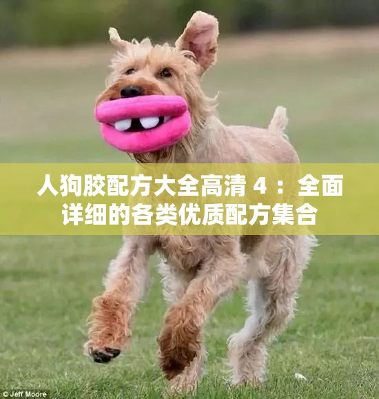 人狗胶配方大全高清 4 ：全面详细的各类优质配方集合