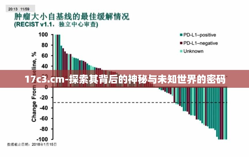 17c3.cm-探索其背后的神秘与未知世界的密码