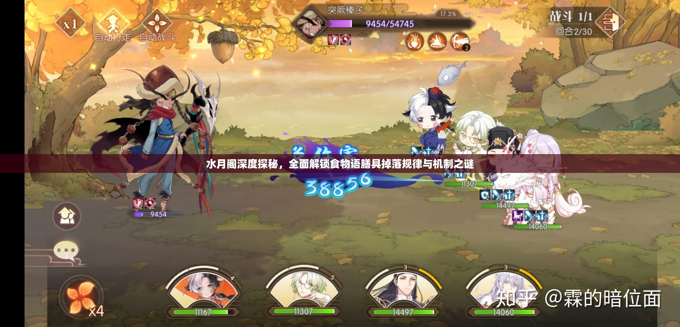 水月阁深度探秘，全面解锁食物语膳具掉落规律与机制之谜