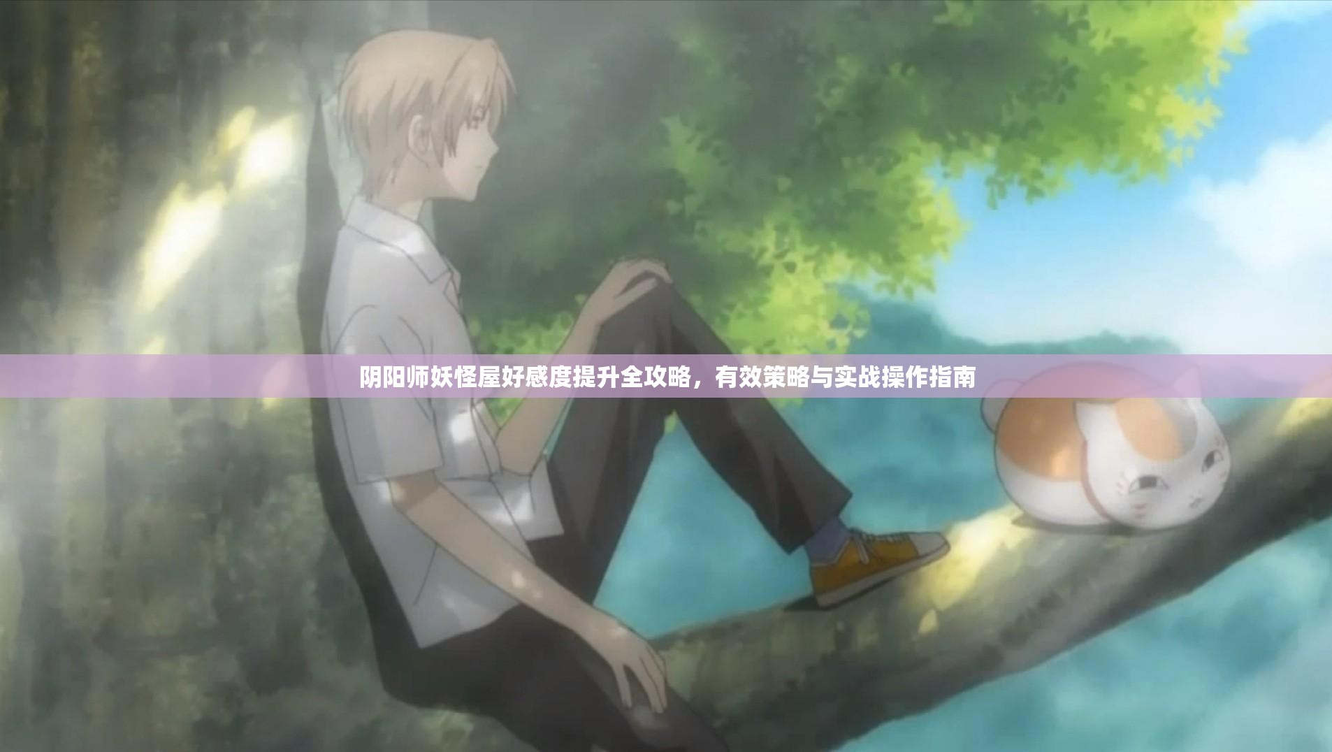 阴阳师妖怪屋好感度提升全攻略，有效策略与实战操作指南