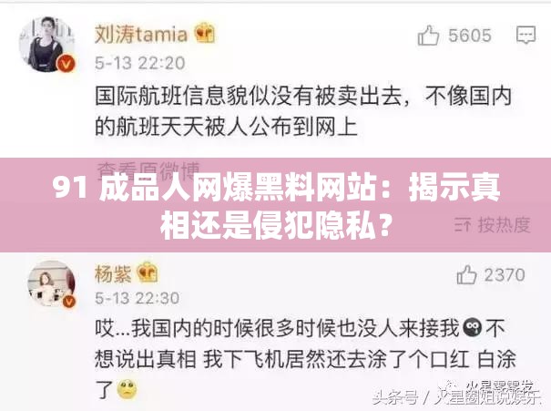 91 成品人网爆黑料网站：揭示真相还是侵犯隐私？