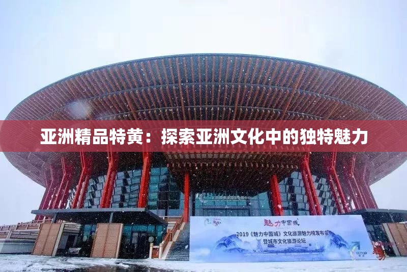 亚洲精品特黄：探索亚洲文化中的独特魅力