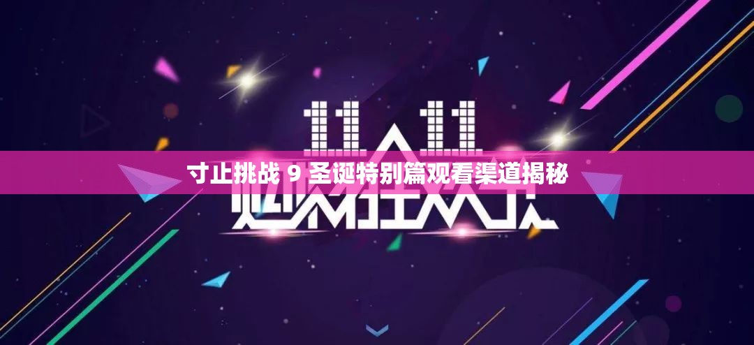 寸止挑战 9 圣诞特别篇观看渠道揭秘