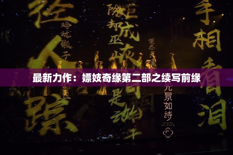 最新力作：嫖妓奇缘第二部之续写前缘