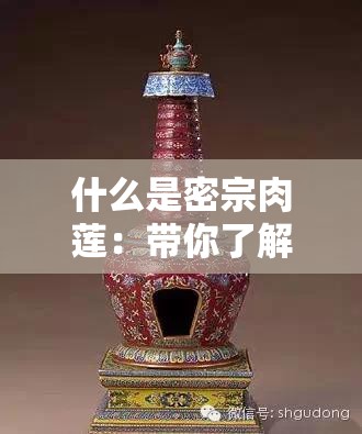什么是密宗肉莲：带你了解神秘的佛教法器