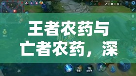 王者农药与亡者农药，深入剖析与王者荣耀的爱恨交织情缘