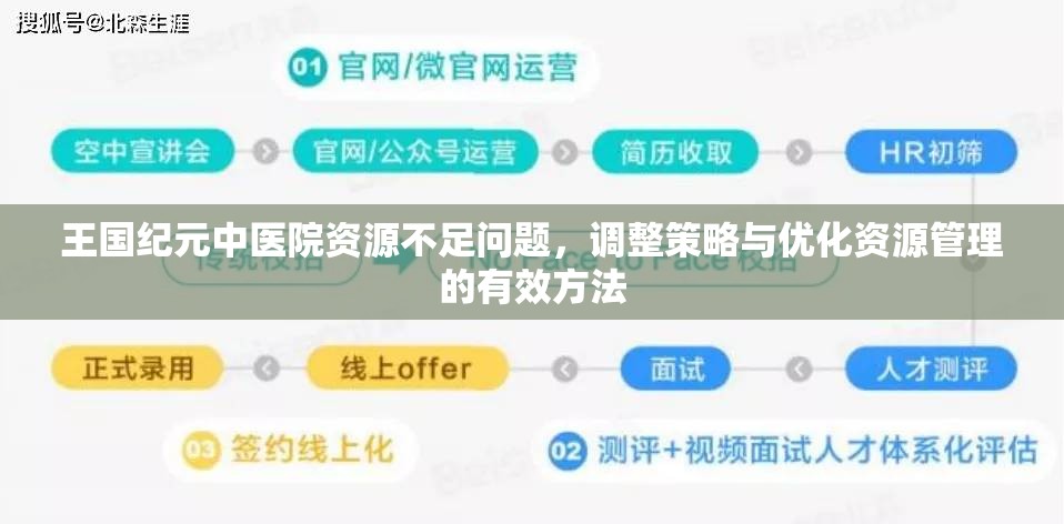 王国纪元中医院资源不足问题，调整策略与优化资源管理的有效方法