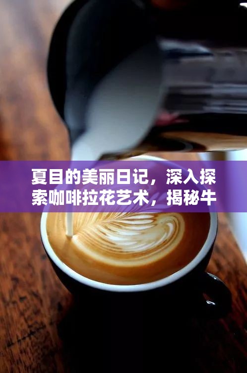 夏目的美丽日记，深入探索咖啡拉花艺术，揭秘牛奶选择与使用禁忌