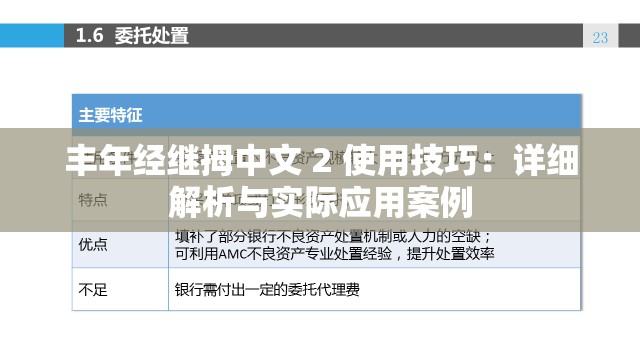 丰年经继拇中文 2 使用技巧：详细解析与实际应用案例