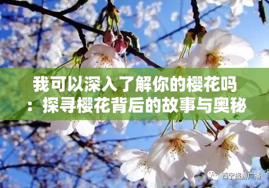 我可以深入了解你的樱花吗：探寻樱花背后的故事与奥秘