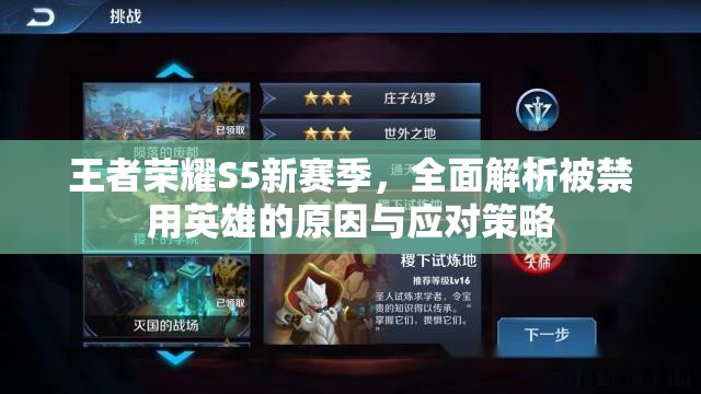 王者荣耀S5新赛季，全面解析被禁用英雄的原因与应对策略
