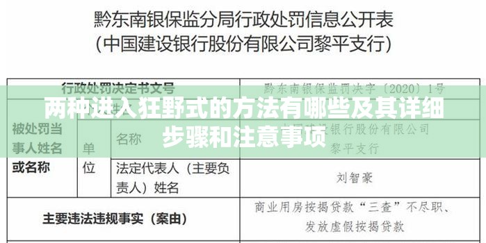 两种进入狂野式的方法有哪些及其详细步骤和注意事项