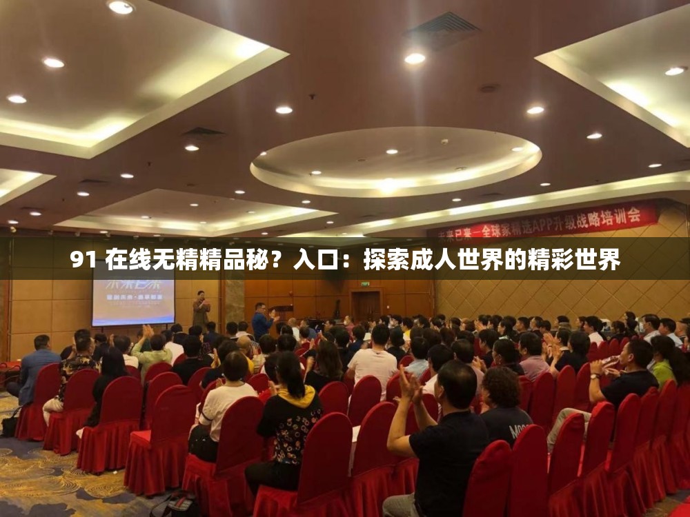 91 在线无精精品秘？入口：探索成人世界的精彩世界
