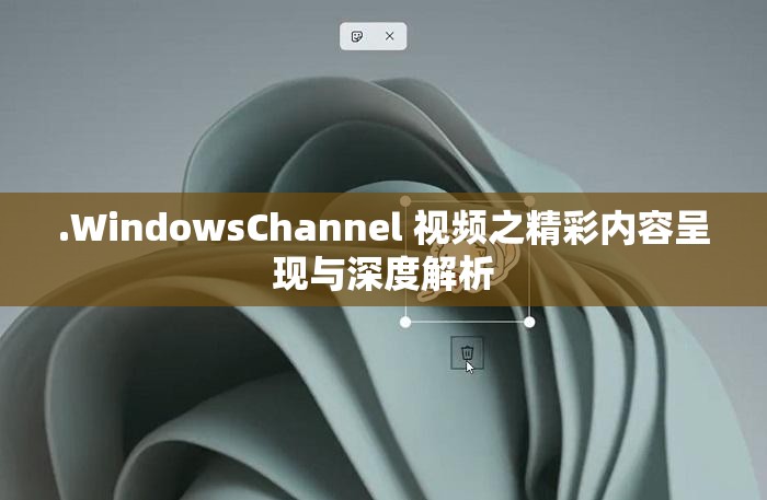 .WindowsChannel 视频之精彩内容呈现与深度解析
