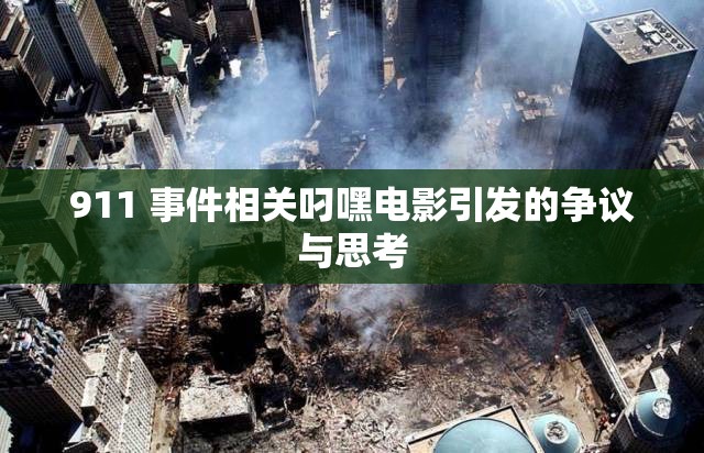 911 事件相关叼嘿电影引发的争议与思考