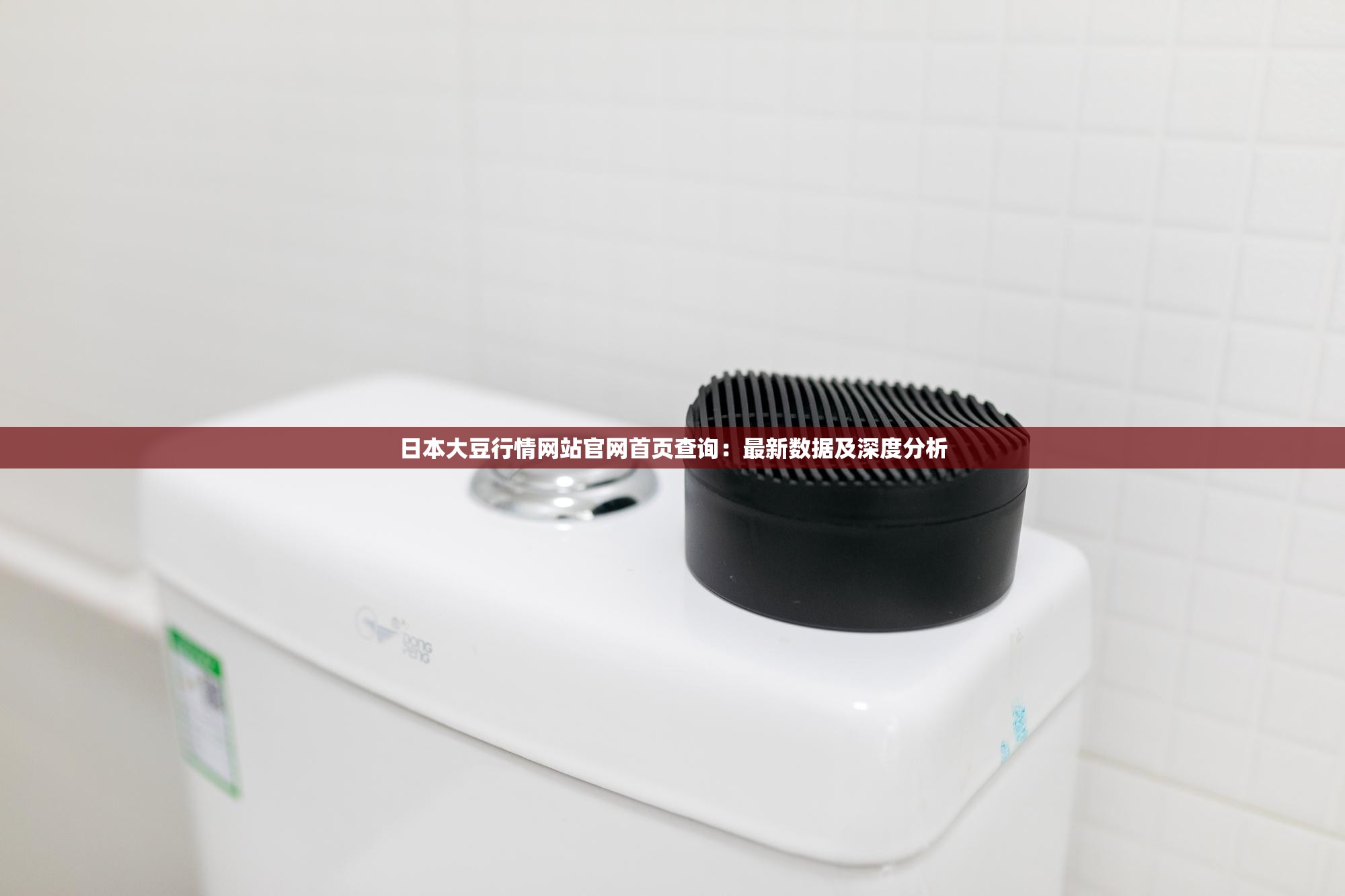 日本大豆行情网站官网首页查询：最新数据及深度分析