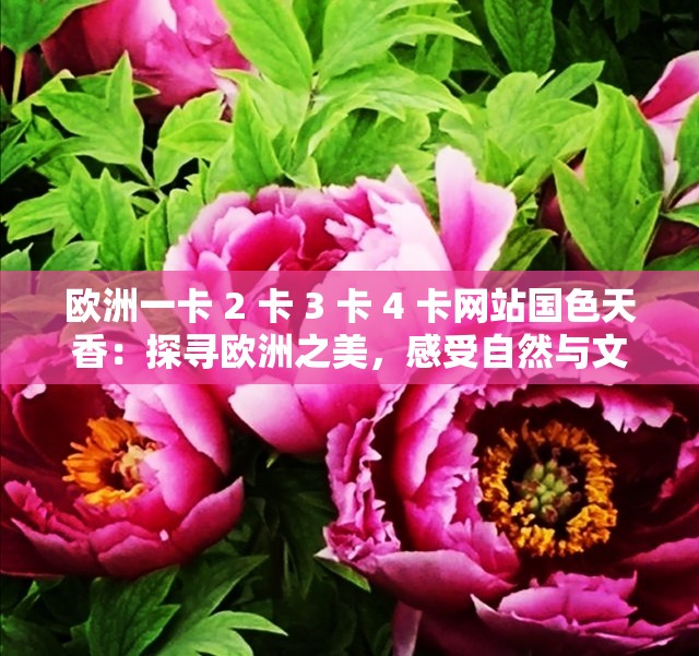 欧洲一卡 2 卡 3 卡 4 卡网站国色天香：探寻欧洲之美，感受自然与文化的交融