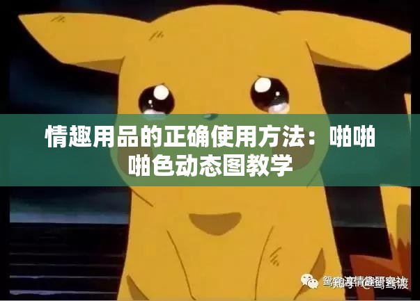 情趣用品的正确使用方法：啪啪啪色动态图教学