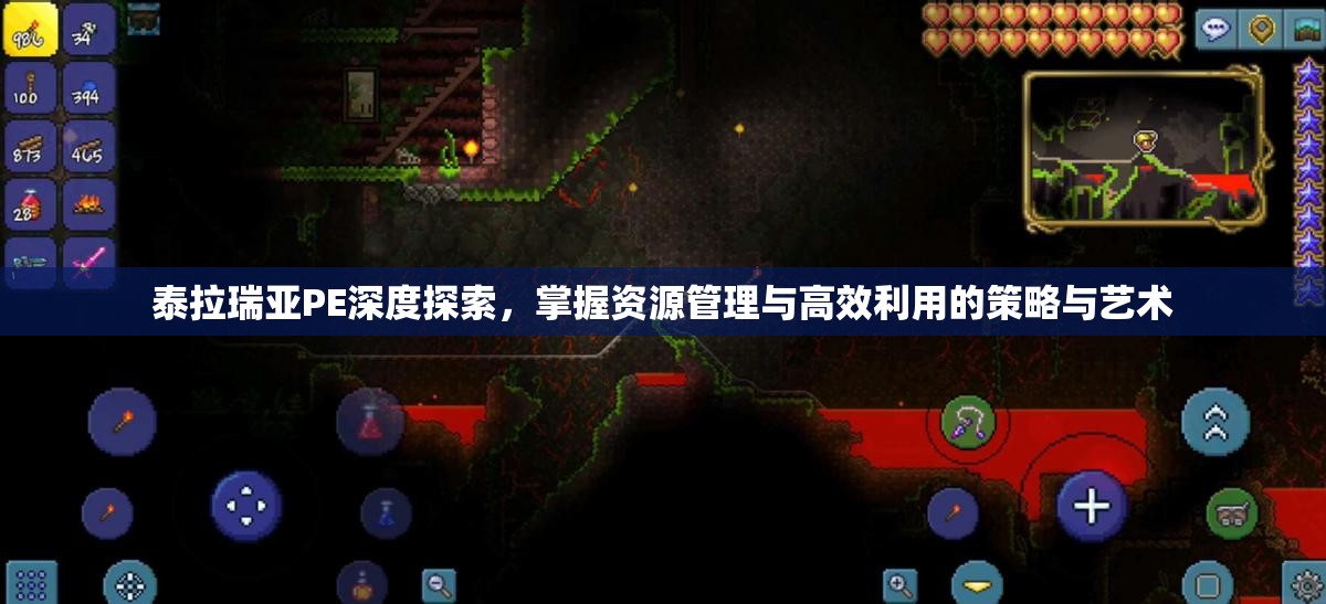 泰拉瑞亚PE深度探索，掌握资源管理与高效利用的策略与艺术