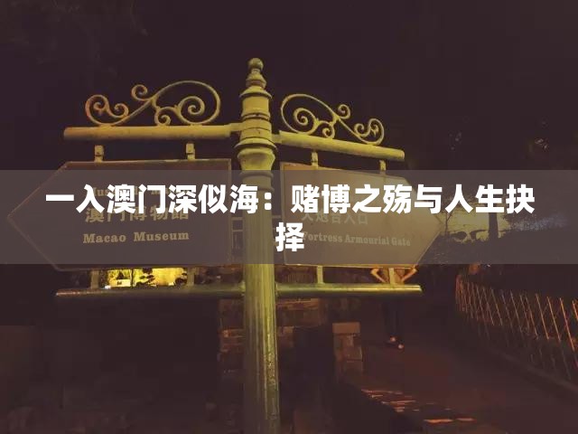 一入澳门深似海：赌博之殇与人生抉择