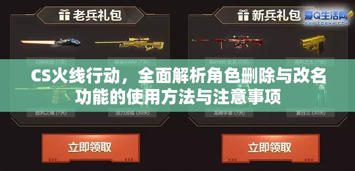 CS火线行动，全面解析角色删除与改名功能的使用方法与注意事项